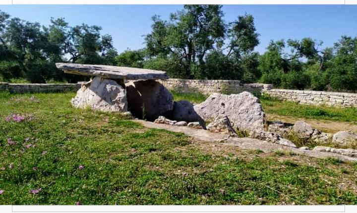Amaste In Puglia Casa Vacanza Bisceglie Buitenkant foto